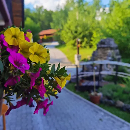 Апартаменты Zlatiborski Kutak Златибор